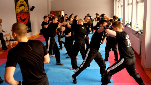 egzamin krav maga, stopnie krav maga global, pasy, p1, warszawa, polska